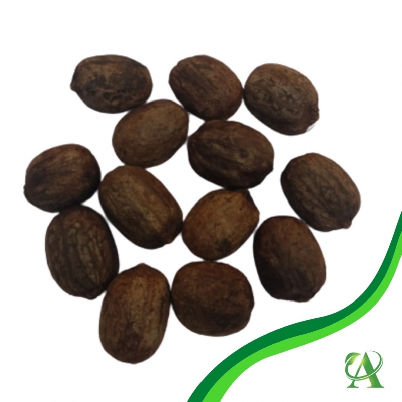 Produto sementes-de-palmeira-azul