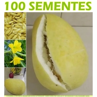 Produto semente-de-melao-pepino-pepino-