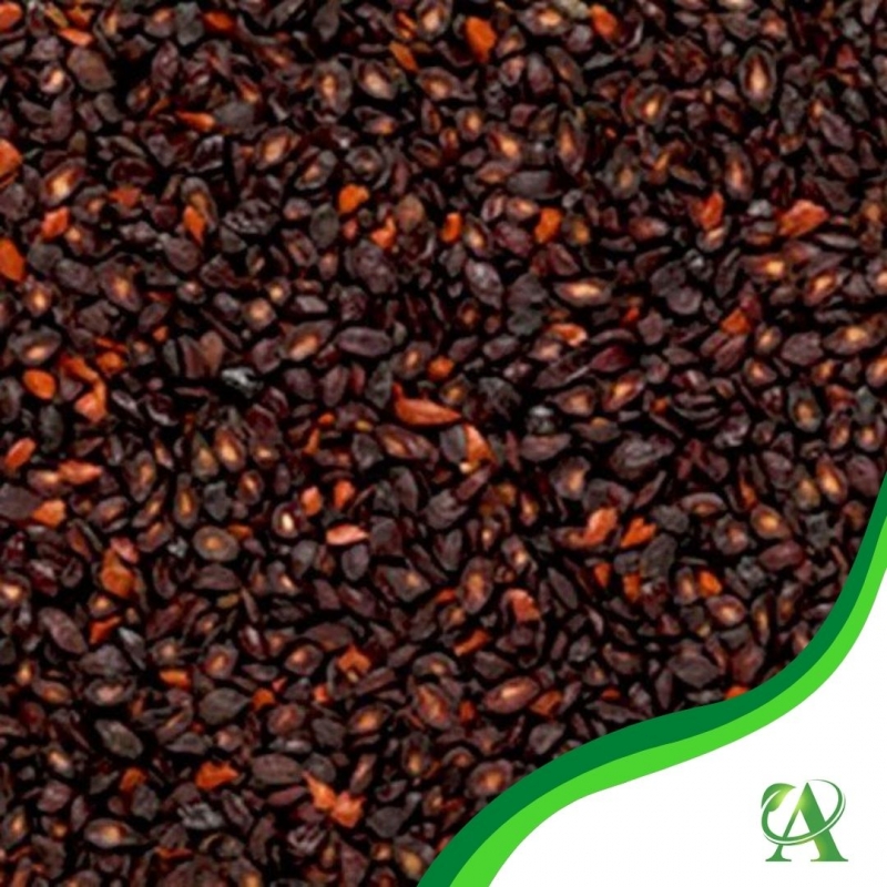 Produto semente-de-eucalipto-citriodora