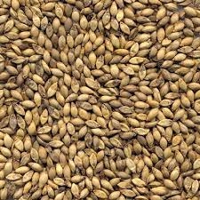 Produto semente-de-capim-marandu