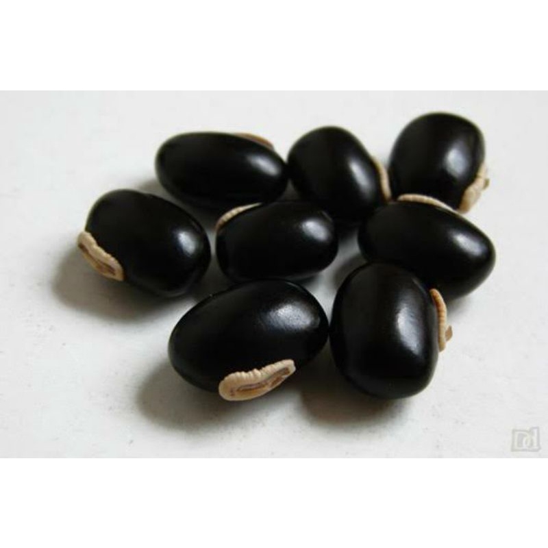 Produto semente-de-mucuna-preta