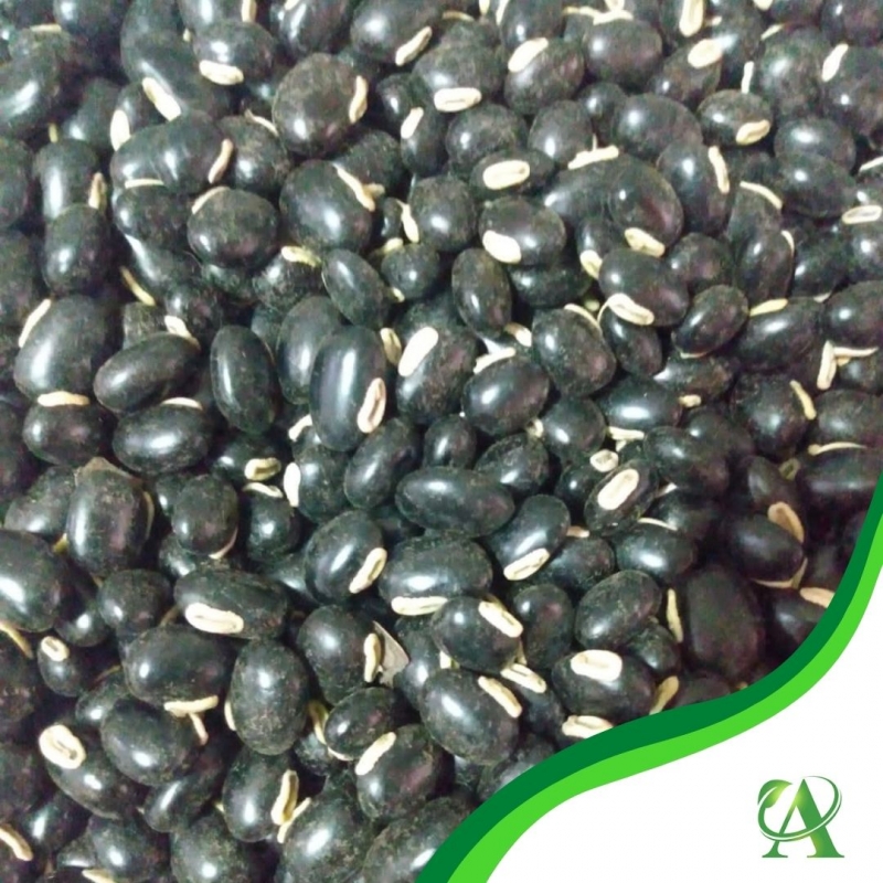 Produto semente-de-mucuna-preta